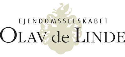 Sjældent udbudt erhvervslejemål